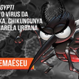 UFRN realiza campanha para combater o mosquito Aedes Aegypti